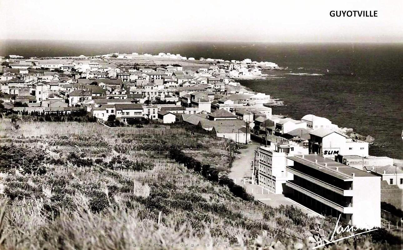 Guyotville - Vue aerienne.jpg